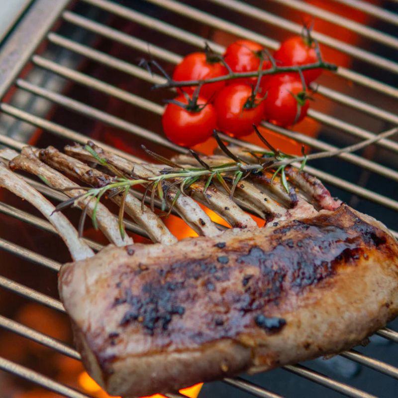 BBQube Grill and Heater with 2 wheel base cooking lamb