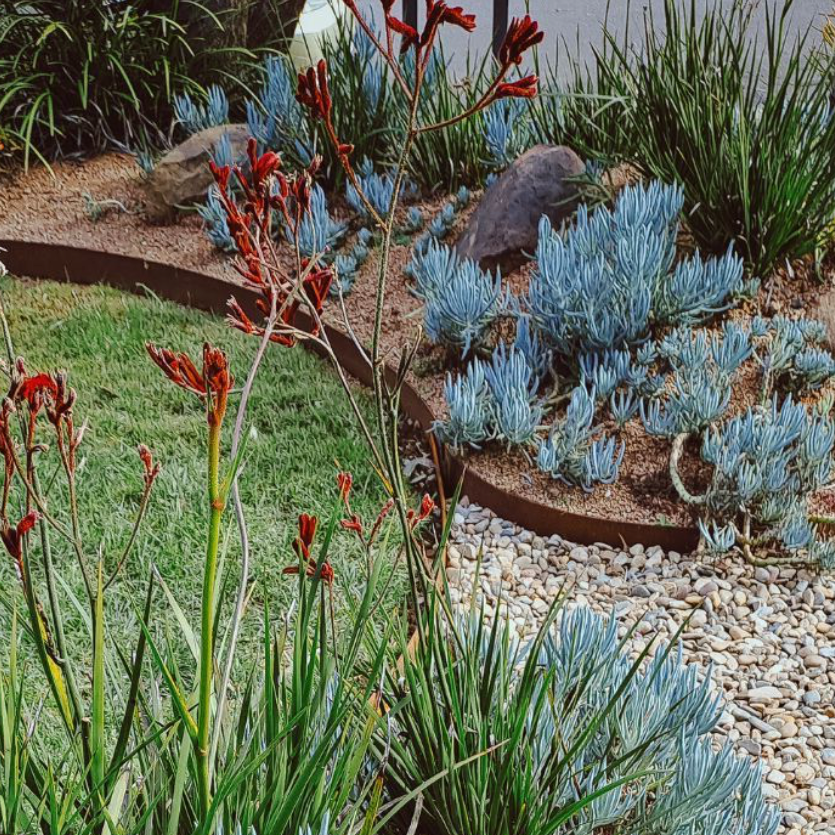 3mm Corten Steel Garden Edging | Lawn Edging | Made in Britain