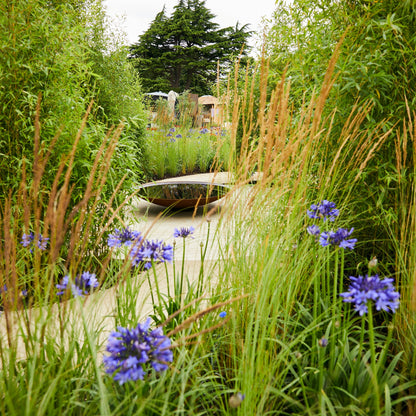 Corten Steel Curved Water Bowl | UK Made | 6 sizes