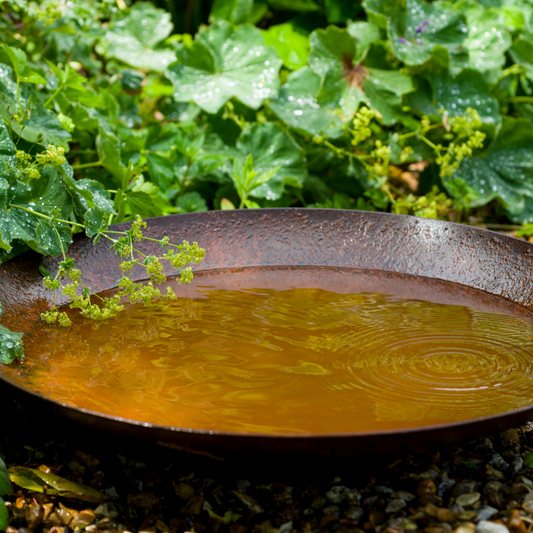 Corten Steel Curved Water Bowl | UK Made | 6 sizes