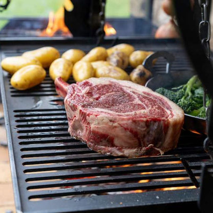 Firepits UK Asado BBQ Maximo