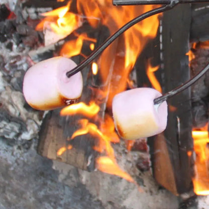 Firepits UK Marshmallow Fork family use outdoors