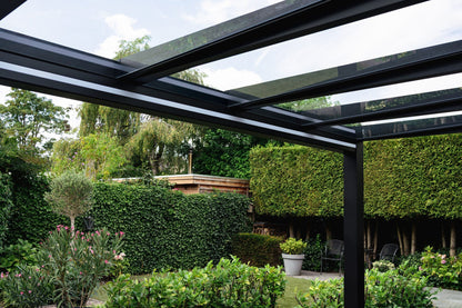 Deponti Trebbiano Canopy